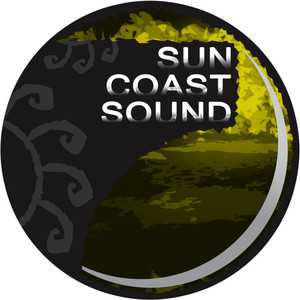 I Would Like To (Original Mix)