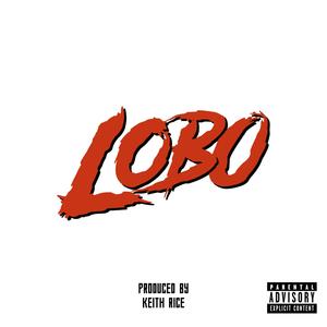 LOBO (Explicit)