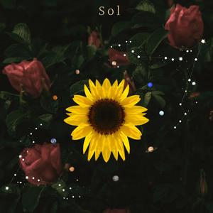 Sol