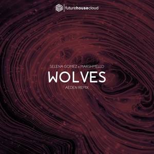 Wolves (Aeden Remix)