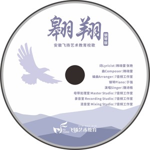 翱翔——钢伴版 (伴奏)