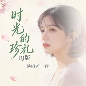 时光的珍礼 DJ版 (伴奏)