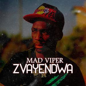 Mad Viper (Zvayendwa Khonangale Diss) (feat. Mad Viper, Dj Grantz & Tafjonz)