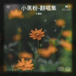 夏夜最后的烟火-小黑粉-