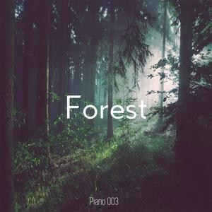 Piano 003：Forest