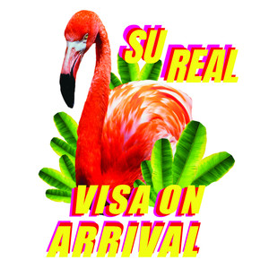 Visa on Arrival