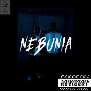 Nebunia (Explicit)