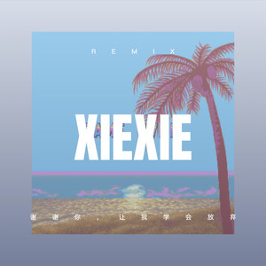 谢谢你，让我学会放弃 (Remix)