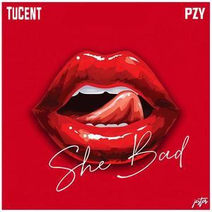 She Bad(feat. PZY) (Radio Edit)