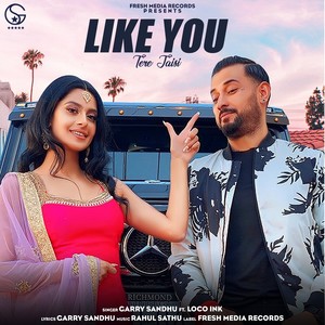 Like You (Tere Jaisi)