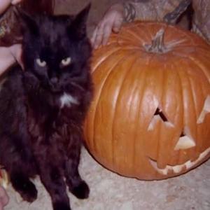 drop dead goregeous xD (Explicit)