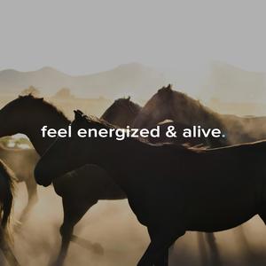 feel energized & alive.