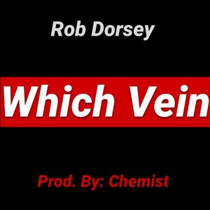 Which Vein (In The Nighttime)