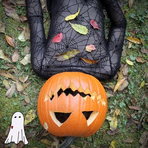 Rejoice(The Harvest)