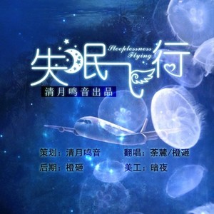 荼麓 - 失眠飞行