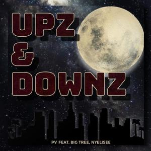 Upz & Downz (feat. Nyelisee & Big Tree)