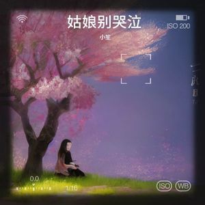 姑娘别哭泣封面