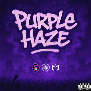 PurpleHaze (Explicit)