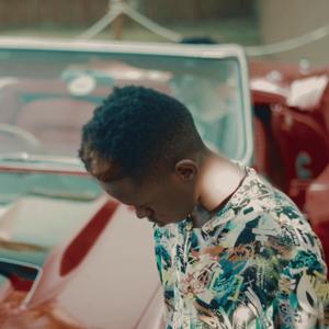 Shot My Shot, I Did (feat. BTL Nari) (Remix)