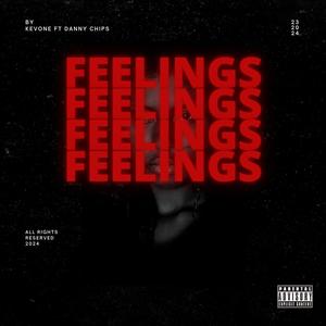 Feelings (feat. Danny Chips)