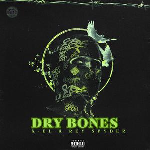 Dry Bones (feat. Rey Spyder) (Explicit)