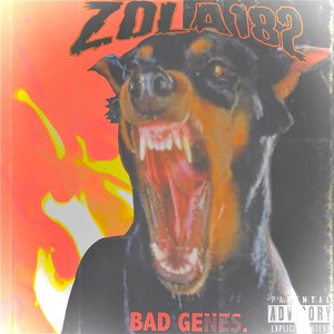 B.D.S. (Explicit)