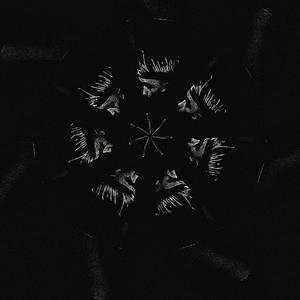 Have..U..Ever..? (feat. Santixspliff) (Explicit)