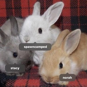 i'm as close as you pushed me away (Explicit)