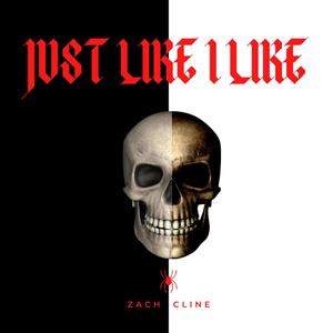 Just Like I Like (Explicit)