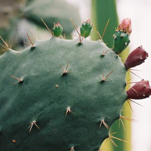 就像电影会哭泣 Remix