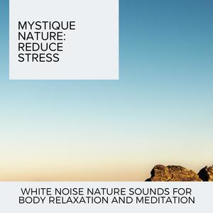 Mystique Nature: Reduce Stress - White Noise Nature Sounds for Body Relaxation and Meditation