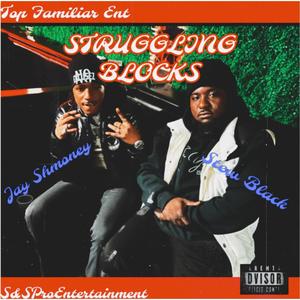 Struggling Blocks (feat. Stew Black) [Explicit]