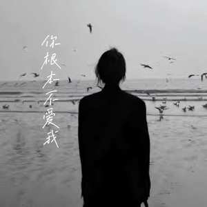 你根本不爱我
