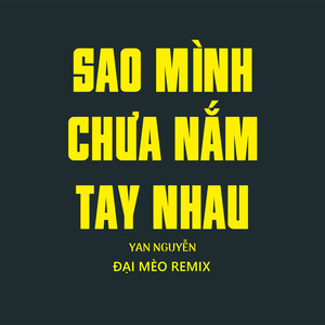 Sao Mình Chưa Nắm Tay Nhau (Đại Mèo Remix Beat)