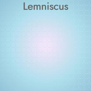 Lemniscus