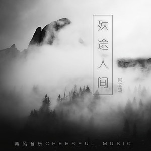 殊途人间 - 向文涛封面