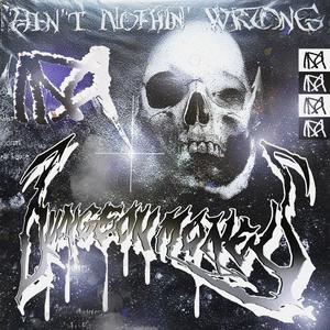 Ain't Nothin' Wrong (Explicit)