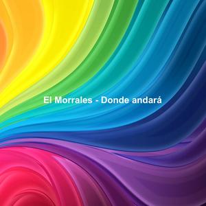 Donde Andará