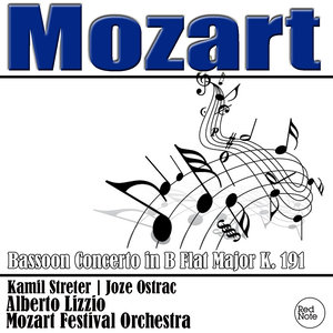 Bassoon Concerto in B-Flat Major, K. 191 - I. Allegro (降B大调巴松管协奏曲，作品191 - 第一乐章 快板)