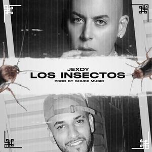 Los Insectos (Inst.)