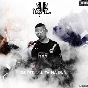 Os pitbull tá na rua (Oldilla Remix|Explicit)