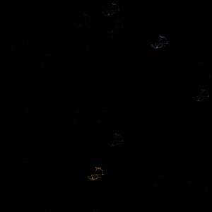 frequency (Explicit)