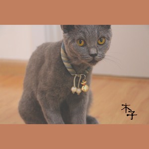 最后一页