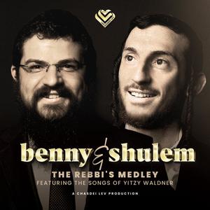 The Rebbi's Medley (Featuring The Songs Of Yitzy Waldner)