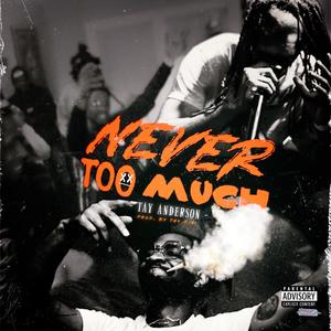 Never Too Much (Explicit)