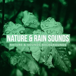 Rain and Wind