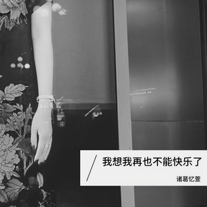我想我再也不能快乐了