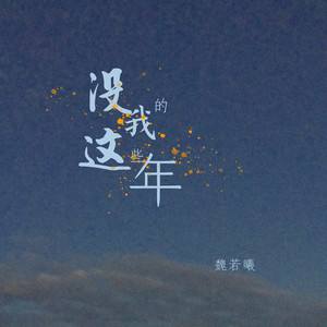 没我的这些年 (DJ光音坊版)