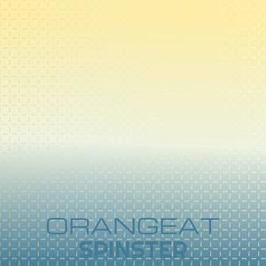 Orangeat Spinster