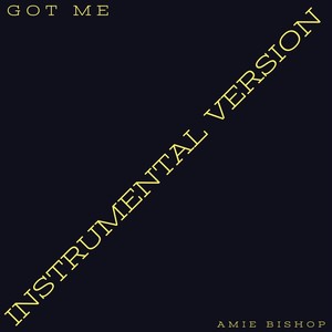 Got Me (Instrumental Version) [feat. Justin Warrick]